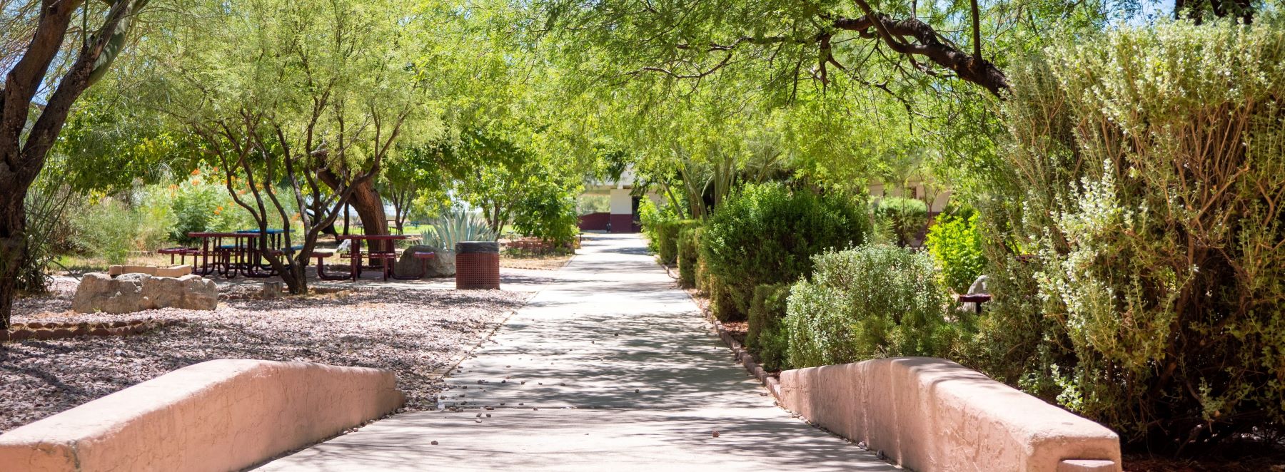 walking path to school