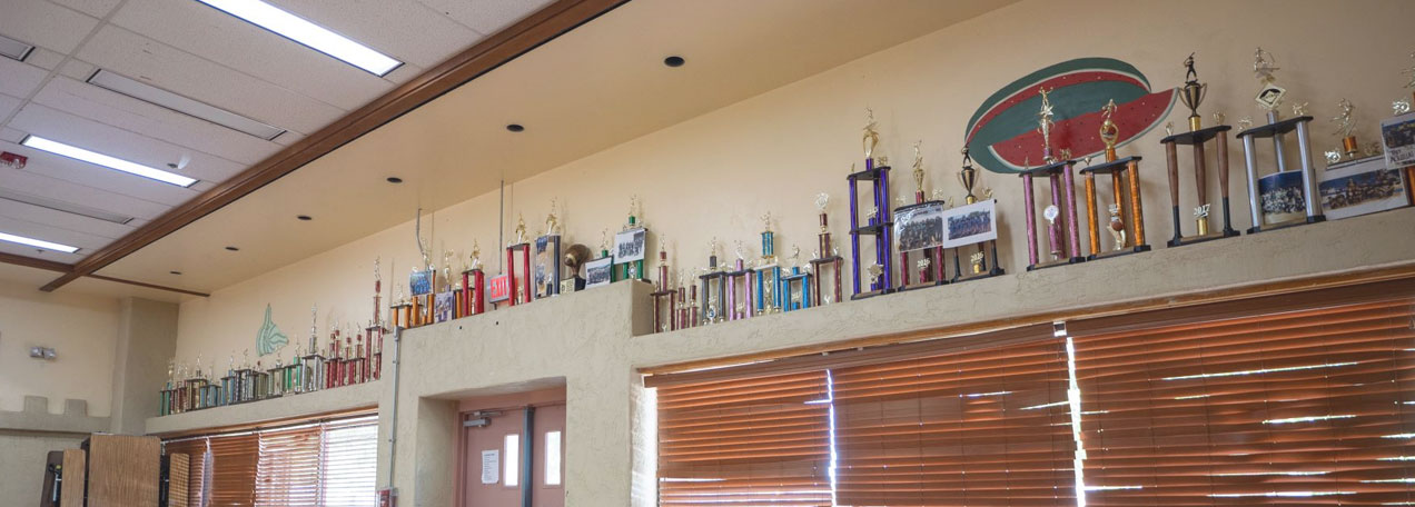 Over 35 school trophies sitting on a shelf. 