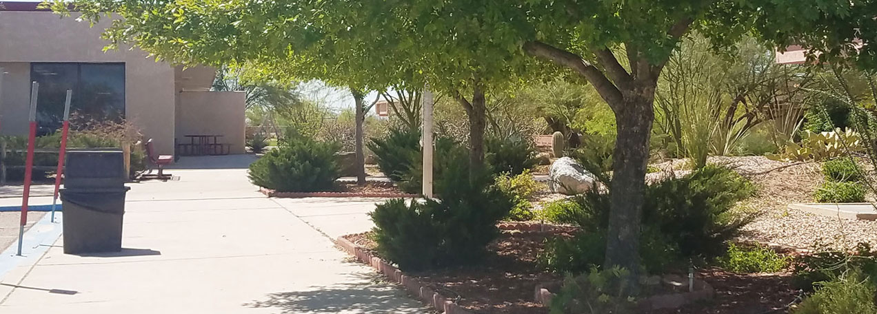 Exterior view of the school's sidewalk and foliage.