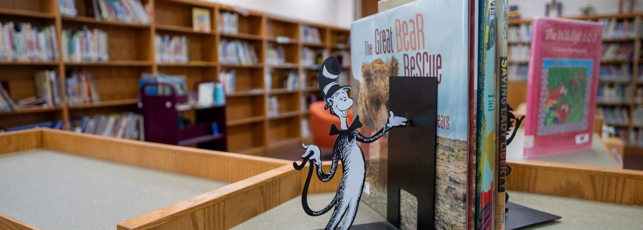 Books on a shelf in the school's library.