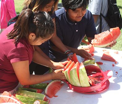 Students cutting watermelon outside. 
