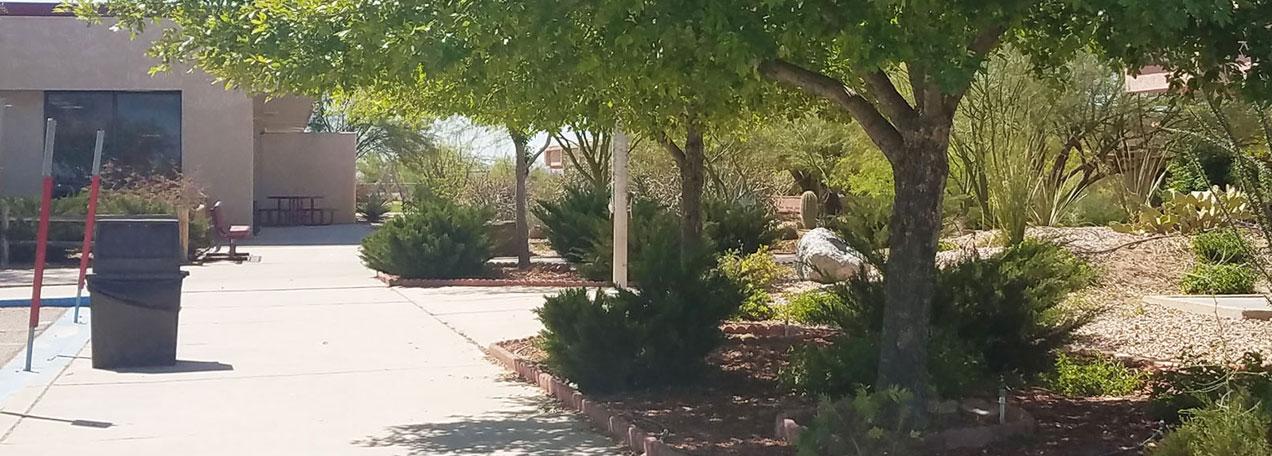 Exterior view of the school's sidewalk and foliage.