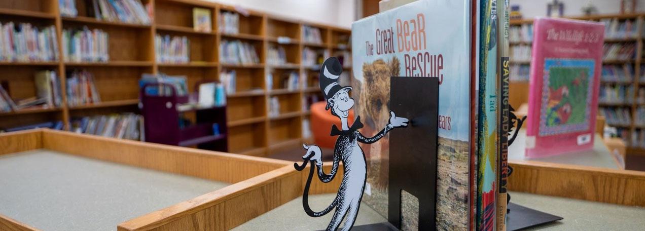 Books on a shelf in the school's library.