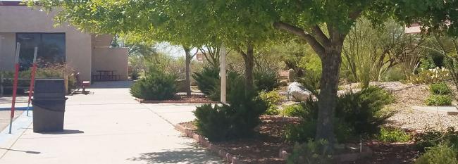 Exterior view of the school's sidewalk and foliage.